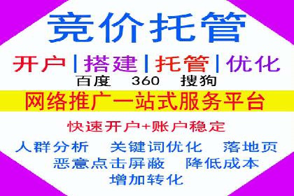 SEM投放策略优化案例分析